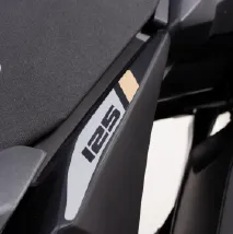 VICTORY SWITCH 125