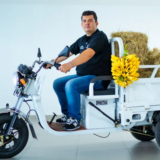 CERONTE TRICARGO 200