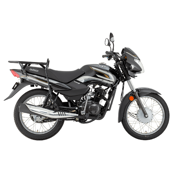 TVS SPORT 100 ELS CARGO