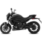 BAJAJ DOMINAR 250